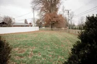 Beautiful Home: Central Location Hotels in Florence