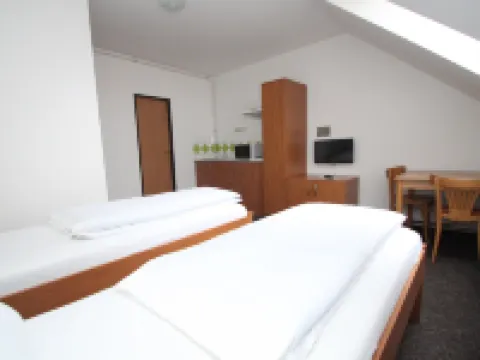 Wellness Penzion U Gigantu Hotels in Plzen