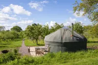 Dragon Orchard Retreat - Pet Friendly