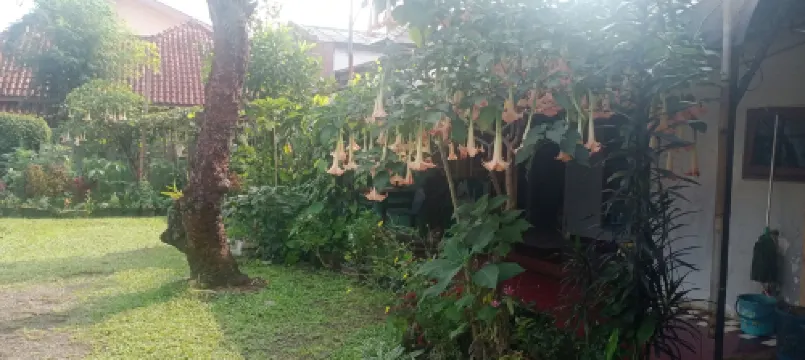 Griya Palayu Hotel di Bogor Utara