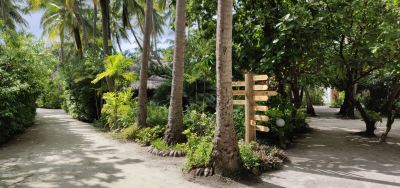 ホテル周辺 トラギリ アイランド リゾート&スパ モルディブの写真