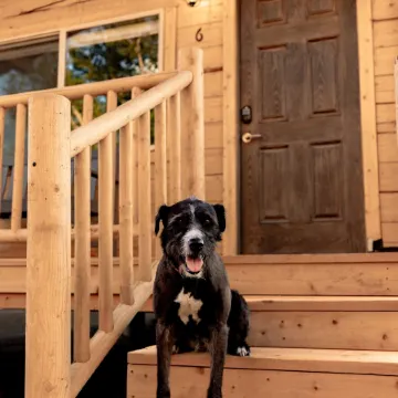 Muddy Creek Mining Company