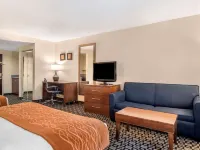 Comfort Inn & Suites Athens North Hotels in Athens
