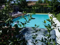 Hotel Patrizia - Pools