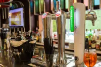 Cleopatra Spa Hotel - bars