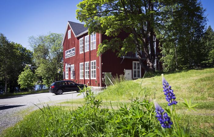 Guesthouse Eleven Hotel