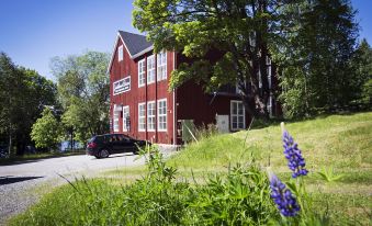 Guesthouse Eleven Hotel