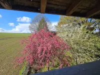 Au Refuge des 3 Ours - Chambres d'hôtes et Cabanes - Romantisk