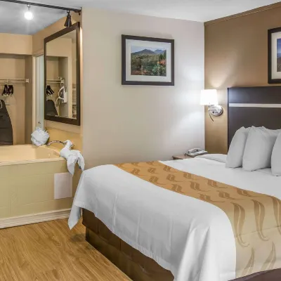Quality Inn & Suites Hotels near Wild Bear Falls Water Park