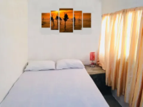 Mount View 11