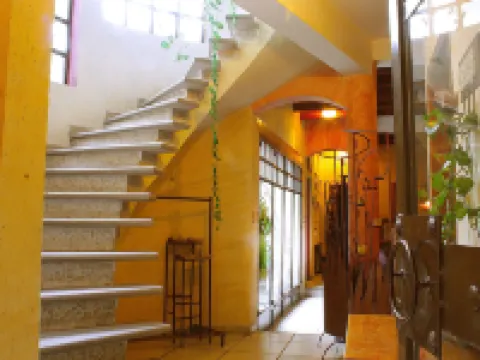 Casa Boutique Calle Berlin Hoteles en Coyoacán