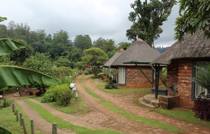 Magoebaskloof Mountain Lodge