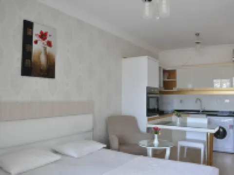 Akbuk Palace Hotel & Residence Hotels in Didim