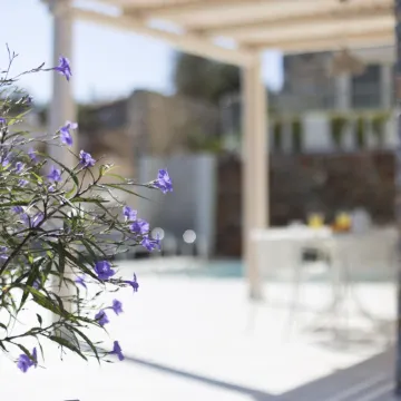 Virginia Luxury Villas