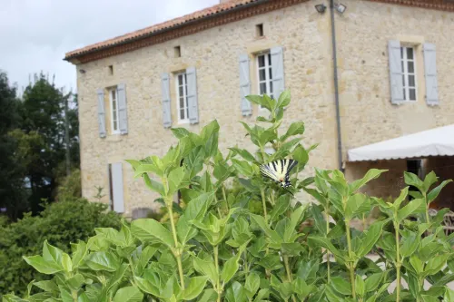 Au Vieux Pressoir Hotels in Condom