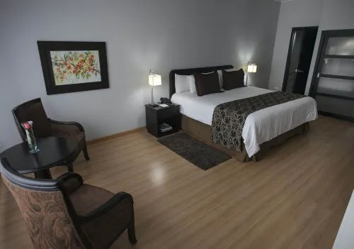 Hotel Internacional la Triada - spa