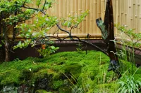 Kinosaki Tajimaya