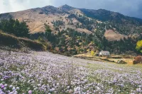 キルム ロッジ ファプル