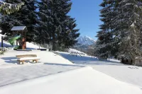 Leysin Lodge Hotels in Ormont-Dessous