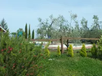 Agriturismo San Martino Hotels in Fauglia