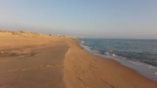 스텔라 데이 벤티