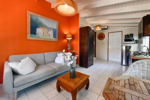 Brisas Studio Apartments - Afhentnings-/afleveringstjenester