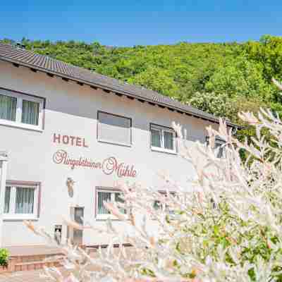 Landhotel Ringelsteiner Mühle Hotel Exterior