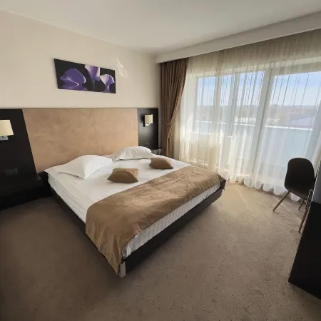 Hotel Regal Отели рядом с достопримечательностью «Аквапарк Paradisul Acvatic»