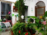 Casa de Huéspedes Santa Maria - Homestays