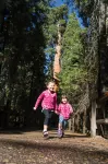 Wuksachi Lodge in Sequoia National Park