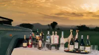 Sungulwane Private Game Lodge - bar