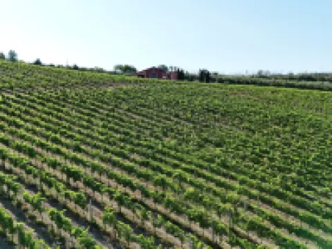 Cantina d'Erasmo - Camere e Degustazioni Hotel di Offida