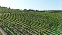 Cantina D'Erasmo - Camere e Degustazioni