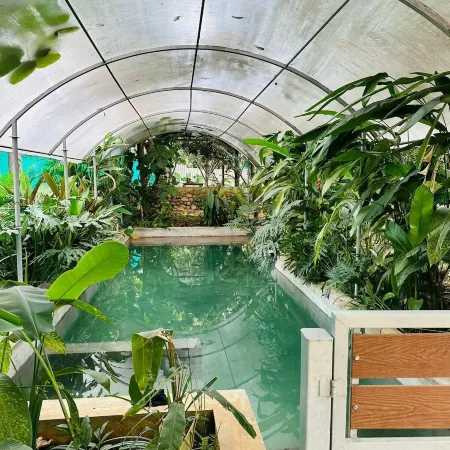 Tuesday Farm Stay