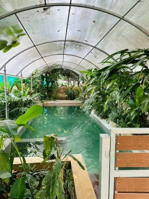 Tuesday Farm Stay - Villas