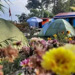 Moonlight Camping Site and Homestay Hotels in Dhital