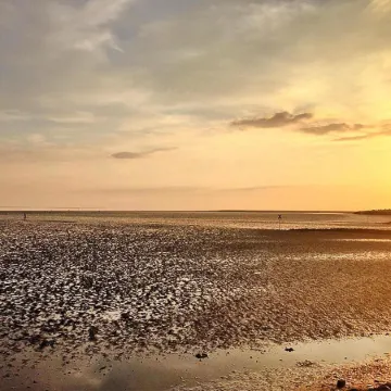 Ferienhaus Bei Nordseelagune Büsum