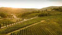 Palagina Il Borgo Agricolo Hotels near Chiesa Di Scampata