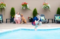 Rodd Moncton - Pools