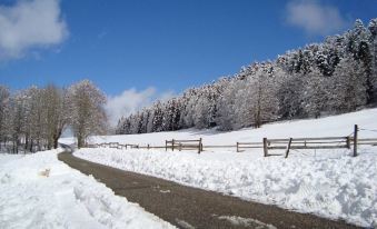 Vercors Intense