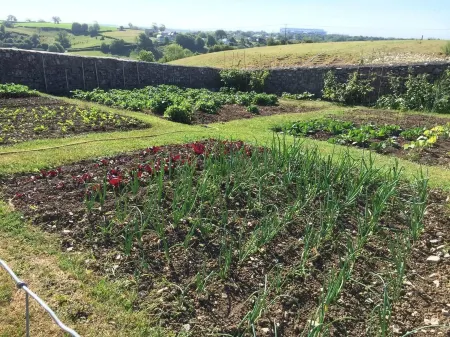 Vale of Glamorgan - Cottage - Sleeps 4 - Parking