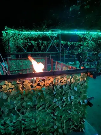 Bush Adventure Guest House