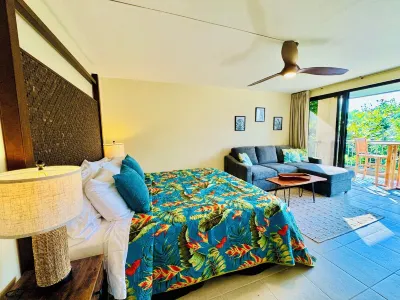 Tropical Paradise #13 at Hbr, Beach Access, AC & Kitchenette Hotels near Hanalei Valley Lookout