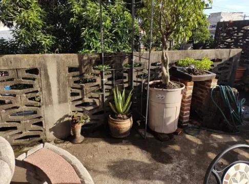 Habitaciones Eco-Terrazas