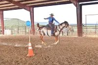 搭配馬與槍的帳篷旅舍/牧場