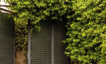 BnButler - Riccardo Galli 9