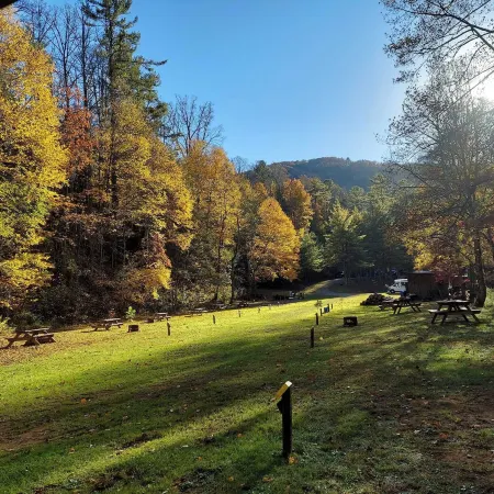 Black Bear Resort