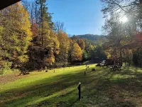 Black Bear Resort Hôtels à : Roan Mountain