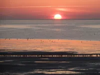 Beautiful, lovingly decorated octagon. House, well maintained. garden Hotels in Friedrichskoog