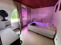 Mansão na Serra, Venham Descansar em Grande Estilo